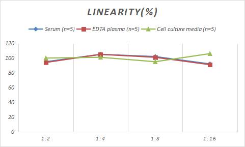 Human ILT4/CD85d/LILRB2 ELISA Kit (Chemiluminescence)