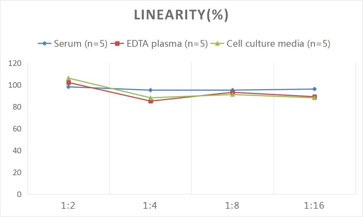 Mouse LOX ELISA Kit (Colorimetric)