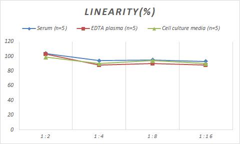 Human MVP ELISA Kit (Colorimetric)
