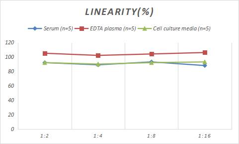 Sheep Von Willebrand Factor ELISA Kit (Colorimetric)
