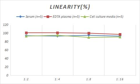 Porcine MBP ELISA Kit (Colorimetric)
