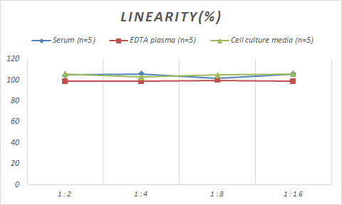 Monkey CCL13/MCP-4 ELISA Kit (Colorimetric)