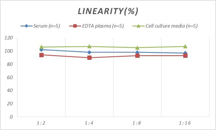 Monkey CCL22/MDC ELISA Kit (Colorimetric)
