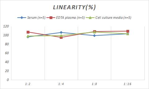 Mouse MHC Class I ELISA Kit (Chemiluminescence)