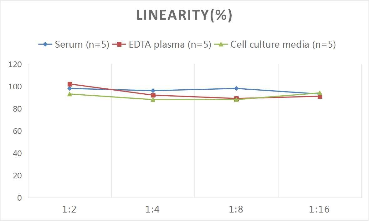 Rat MIF ELISA Kit (Colorimetric)