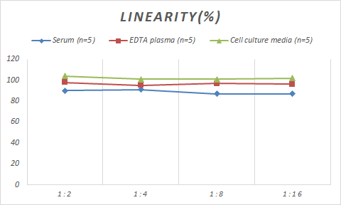 Monkey MMP-1 ELISA Kit (Colorimetric)