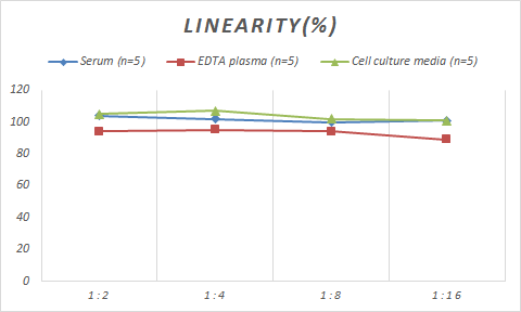 Monkey GDF-8/Myostatin ELISA Kit (Colorimetric)