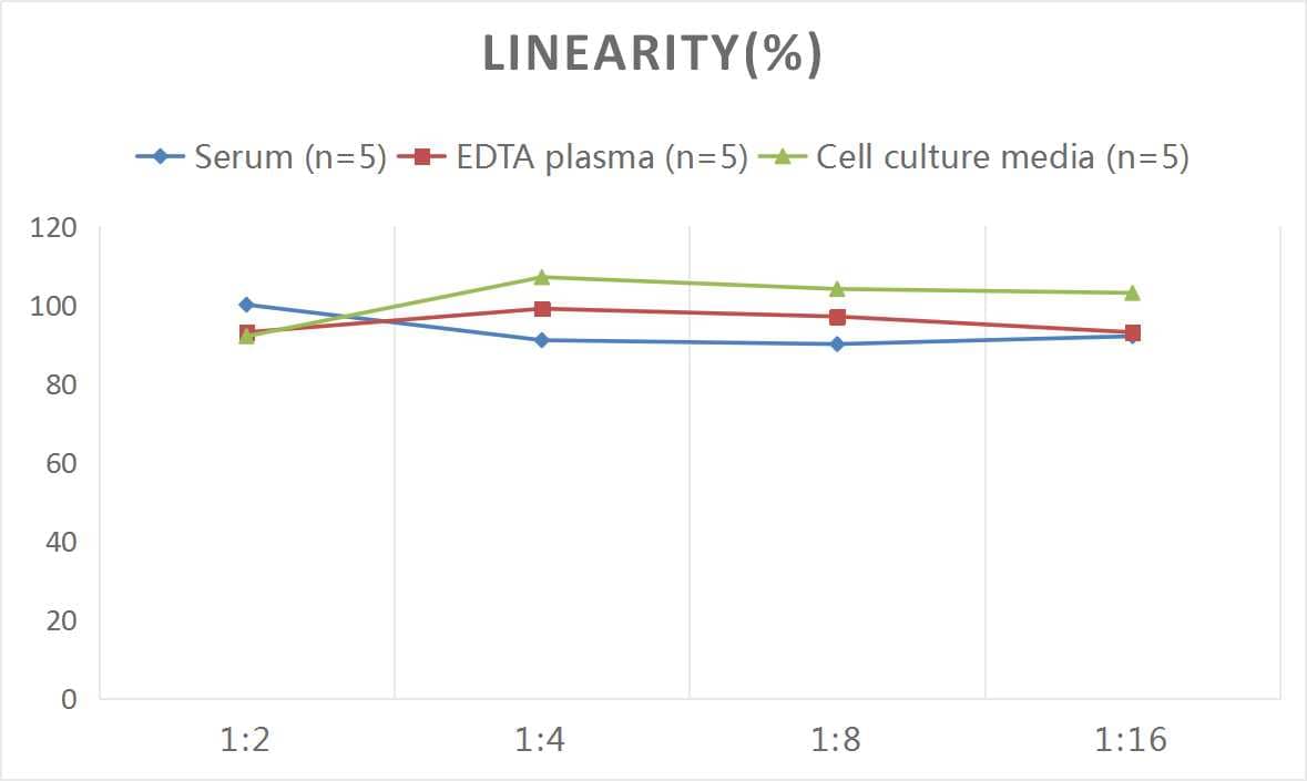 Rat Motilin ELISA Kit (Colorimetric)