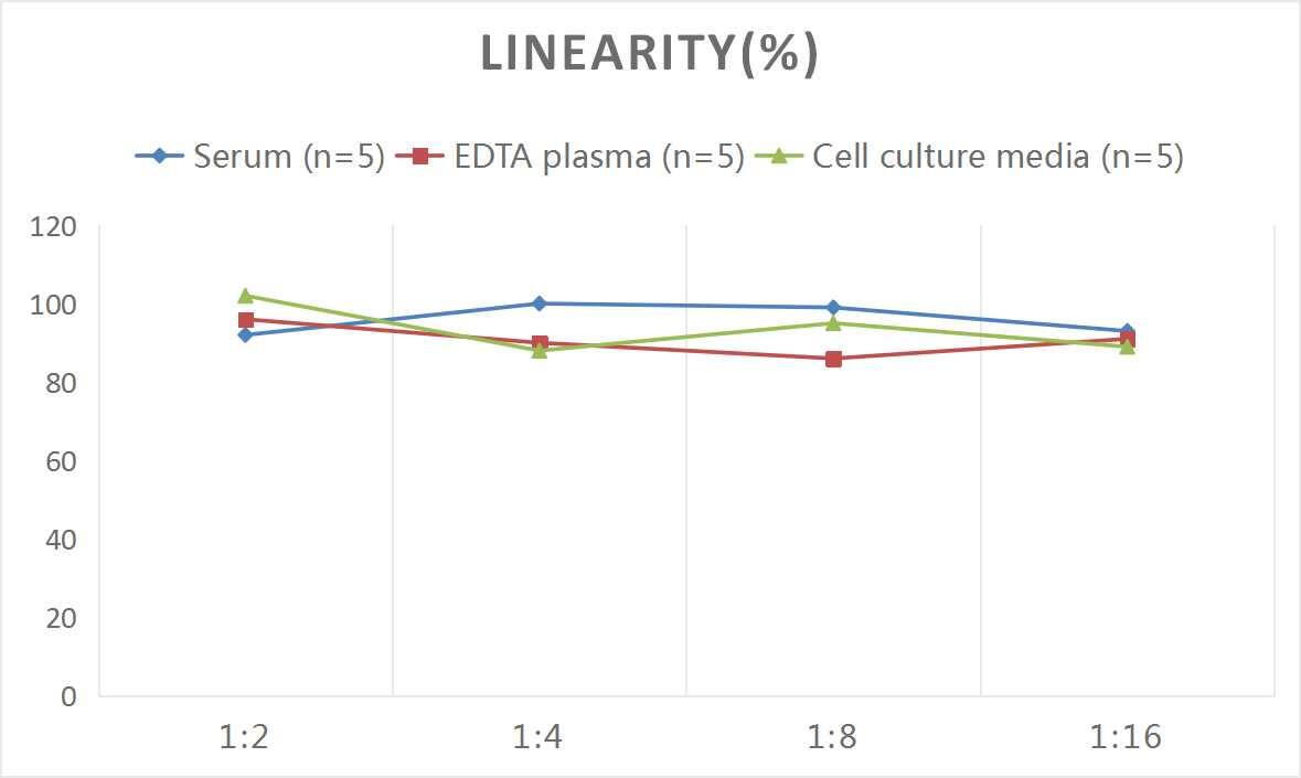 Mouse MuRF1/TRIM63 ELISA Kit (Colorimetric)