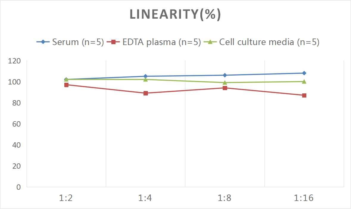 Rat Myoglobin ELISA Kit (Colorimetric)