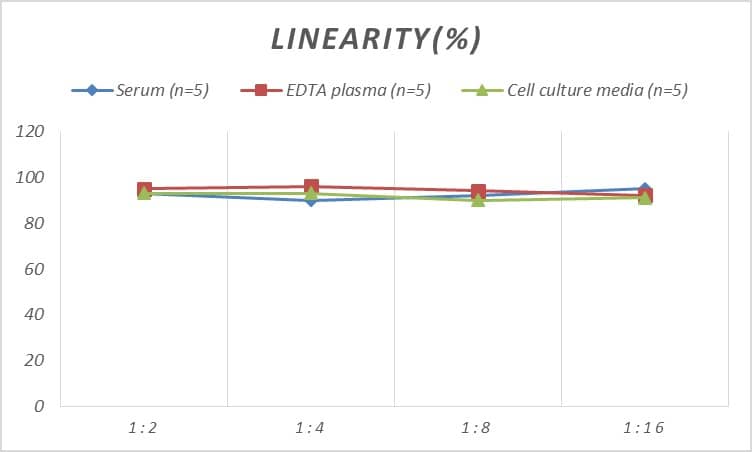 Monkey NF-L ELISA Kit (Colorimetric)