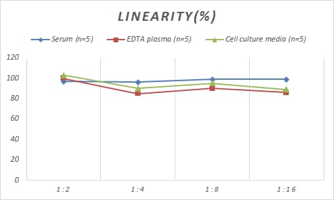 Human NFkB1/NFkB p105 ELISA Kit (Colorimetric)