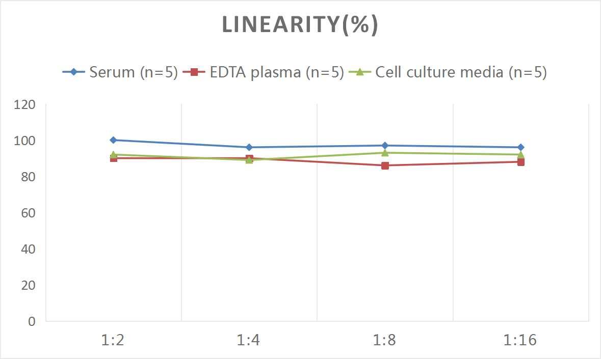 Human CARD12 ELISA Kit (Colorimetric)