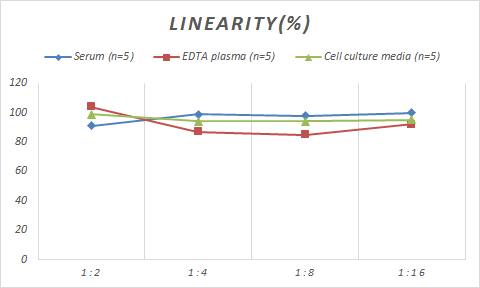Mouse Ornithine Decarboxylase ELISA Kit (Colorimetric)