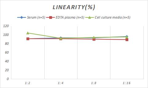 Rat Ornithine Decarboxylase ELISA Kit (Colorimetric)