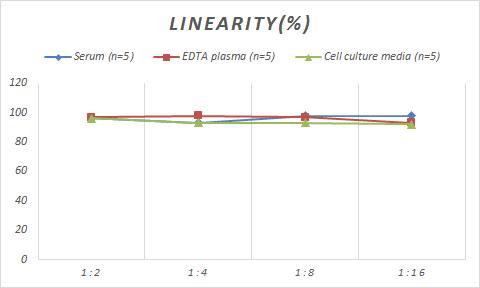 Monkey Oncostatin M/OSM ELISA Kit (Colorimetric)