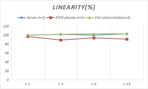 Rat Pappalysin-1/PAPP-A ELISA Kit (Colorimetric)