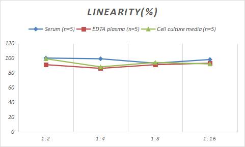 Rat PCNA ELISA Kit (Colorimetric)