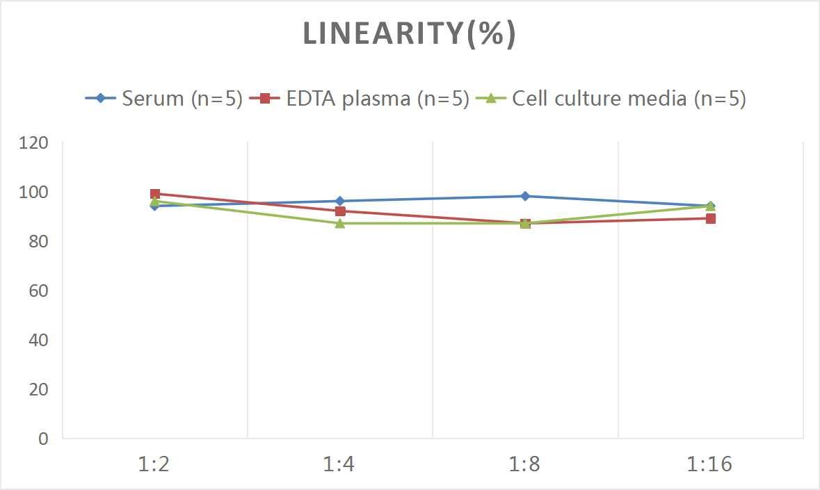 Human PEBP4 ELISA Kit (Colorimetric)