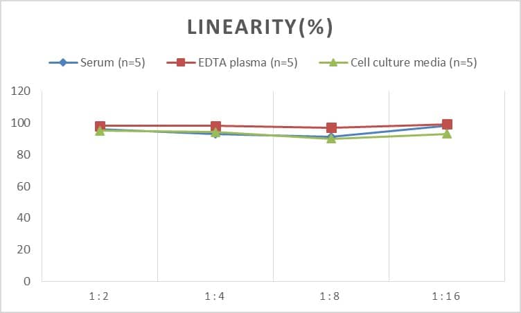 Mouse PLGF ELISA Kit (Colorimetric)