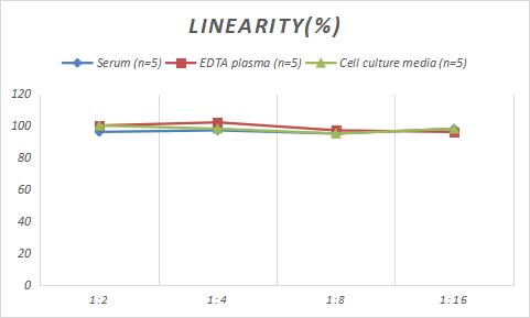 Rabbit PlGF ELISA Kit (Colorimetric)