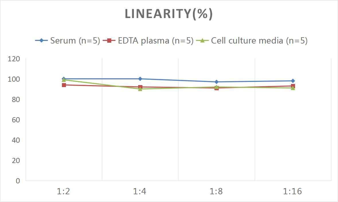 Mouse u-Plasminogen Activator/Urokinase ELISA Kit (Colorimetric)