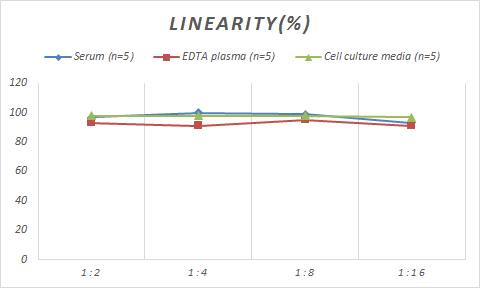 Porcine Pancreatic Polypeptide/PP ELISA Kit (Colorimetric)