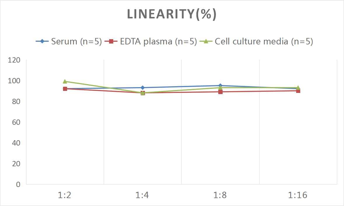 Rat PPAR gamma/NR1C3 ELISA Kit (Colorimetric)