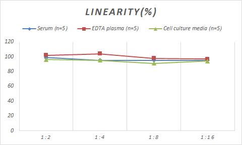 Monkey Prolactin ELISA Kit (Colorimetric)