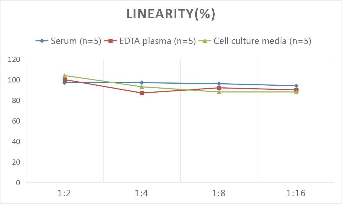 Mouse Kallikrein 3/PSA ELISA Kit (Colorimetric)