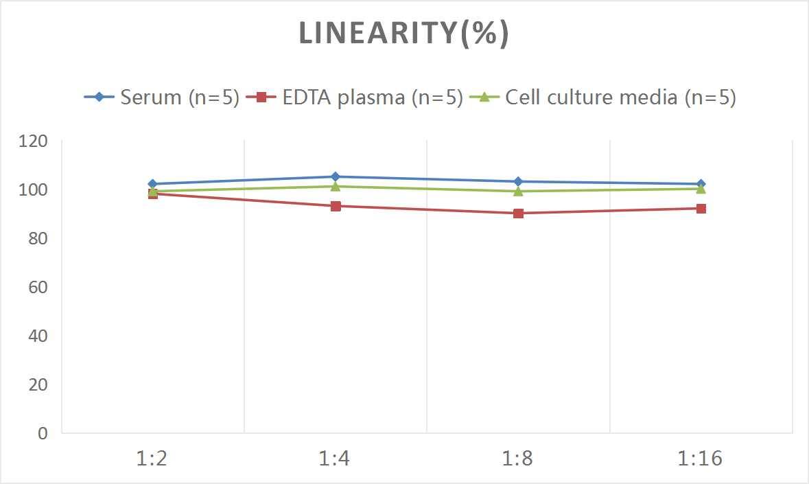 Rat TRANCE/TNFSF11/RANK L ELISA Kit (Colorimetric)