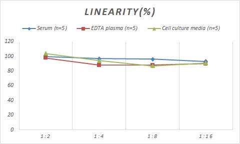 Human RAP1A ELISA Kit (Colorimetric)