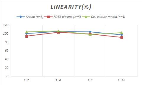 Rat RUNX2/CBFA1 ELISA Kit (Chemiluminescence)