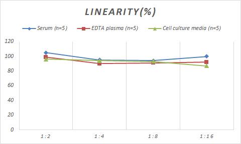 Mouse RUNX2/CBFA1 ELISA Kit (Colorimetric)