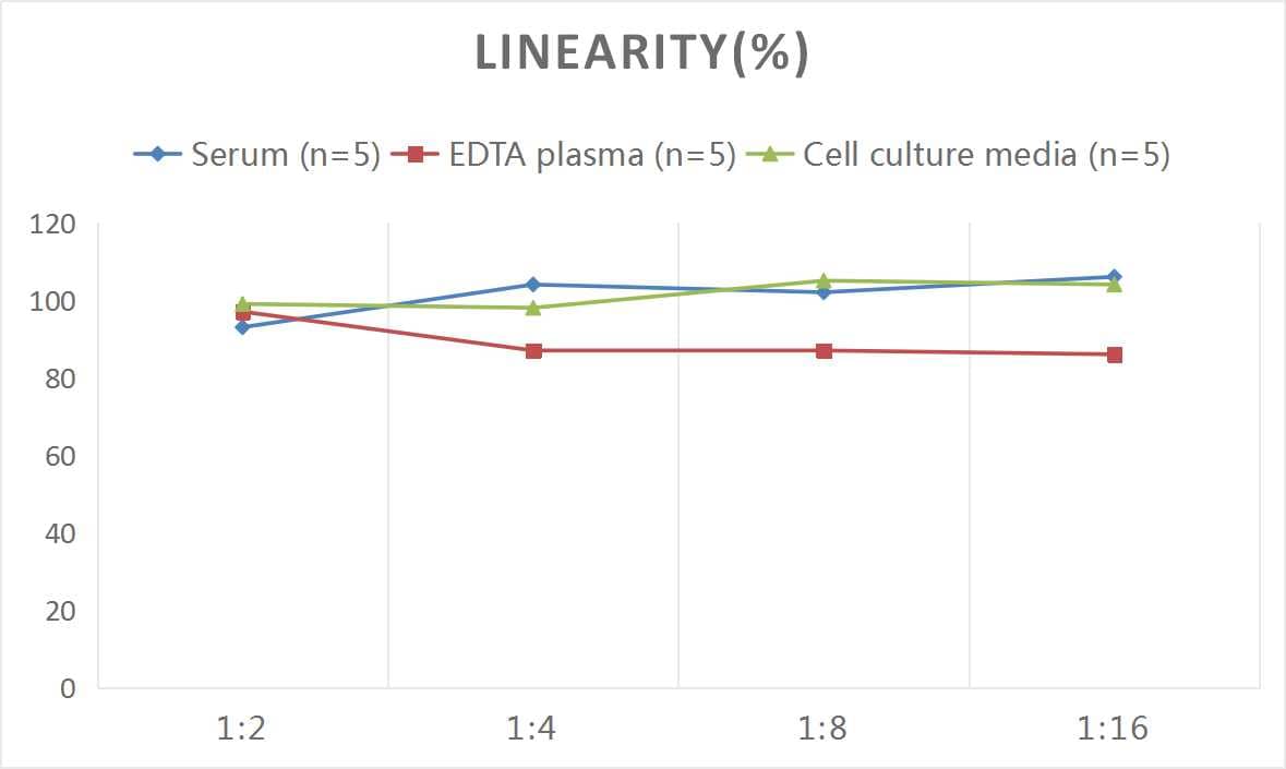 Rat S100B ELISA Kit (Colorimetric)