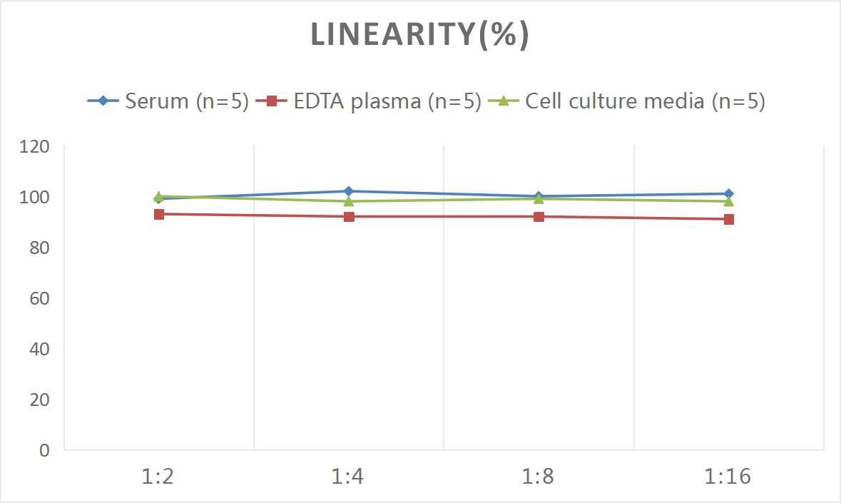 Mouse S100B ELISA Kit (Colorimetric)