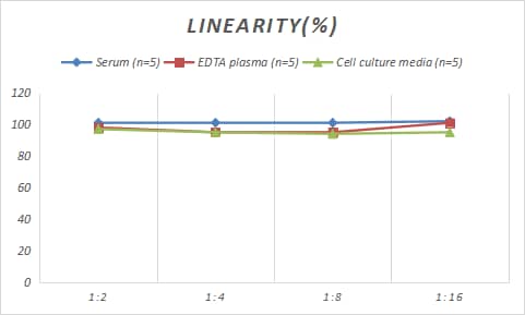 Rabbit S100B ELISA Kit (Colorimetric)