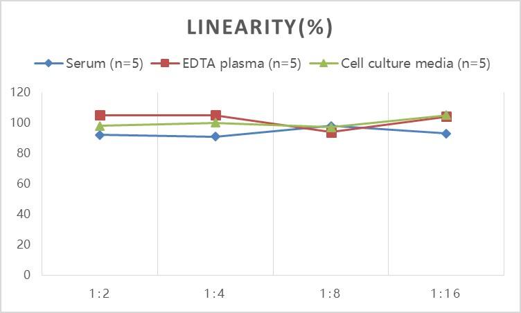 Rat Serum Amyloid A ELISA Kit (Colorimetric)