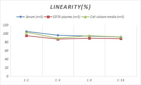 Rat SR-BI ELISA Kit (Colorimetric)