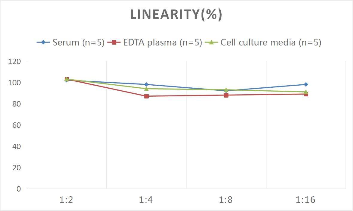 Mouse Semaphorin 3C ELISA Kit (Colorimetric)