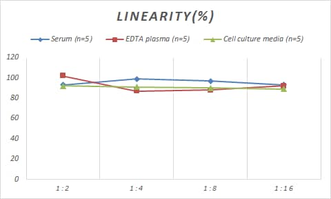 Human SESN1 ELISA Kit (Colorimetric)