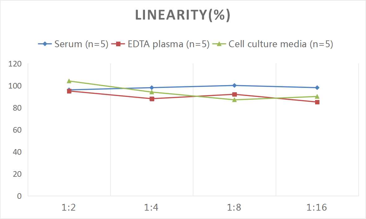 Rat SHBG ELISA Kit (Colorimetric)