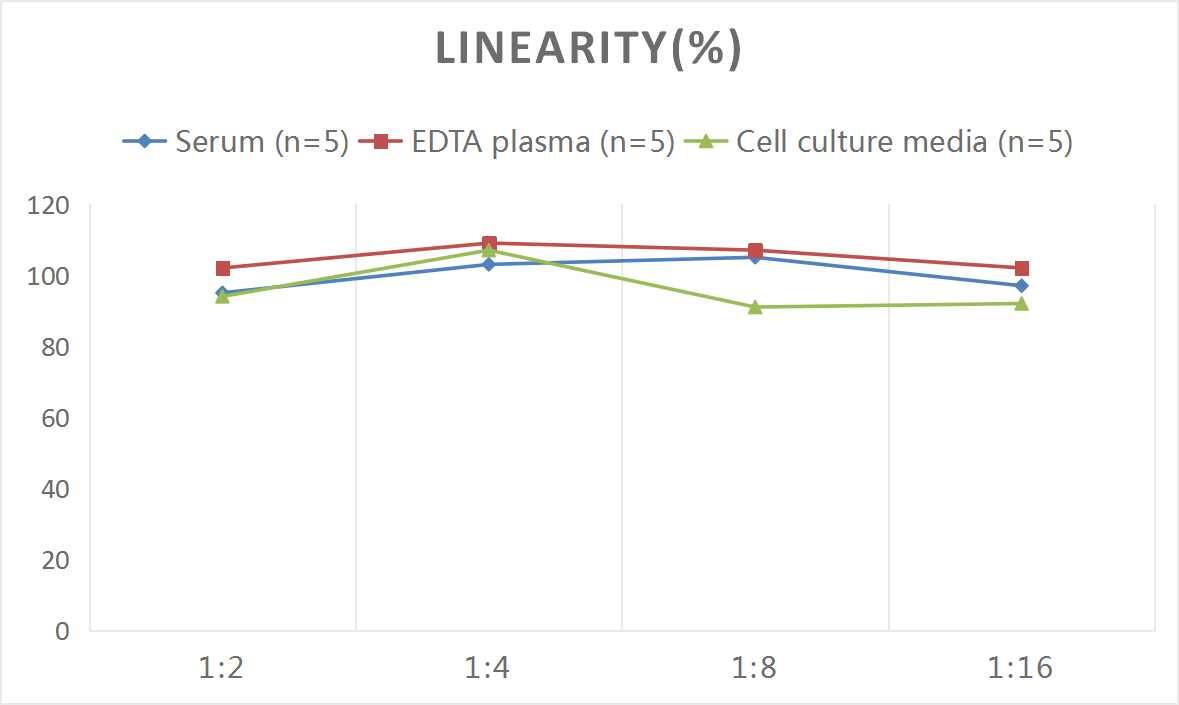Human IgA Secretory Chain ELISA Kit (Chemiluminescence)