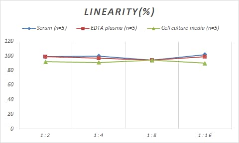 Monkey IgA Secretory Chain ELISA Kit (Colorimetric)