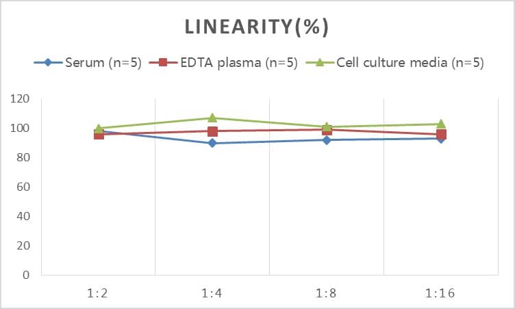 Rat SOD1/Cu-Zn SOD ELISA Kit (Colorimetric)