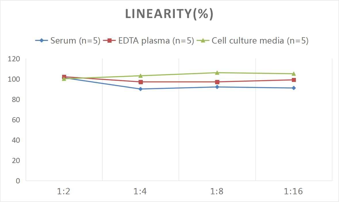Mouse SOD1/Cu-Zn SOD ELISA Kit (Colorimetric)