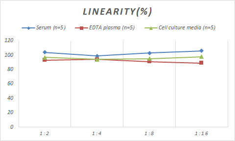 Porcine SP-B/Surfactant Protein B ELISA Kit (Colorimetric)
