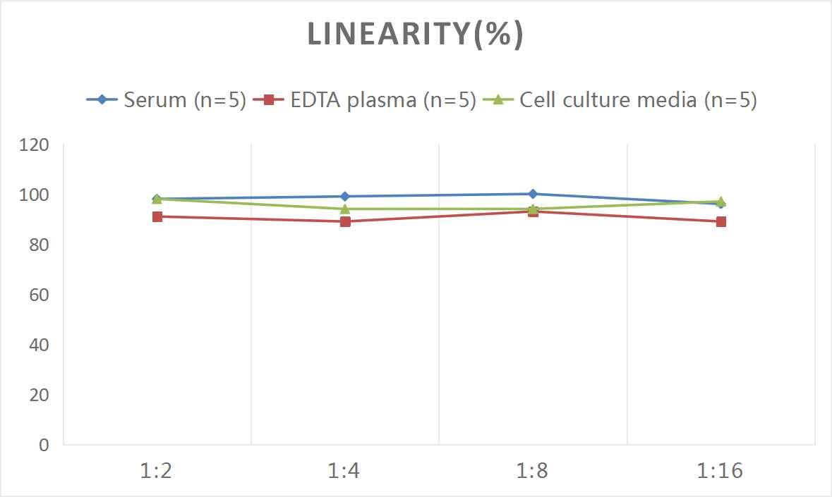 Monkey CCL17/TARC ELISA Kit (Colorimetric)