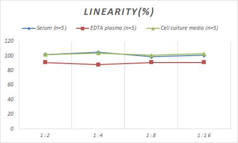 Porcine CCL17/TARC ELISA Kit (Colorimetric)