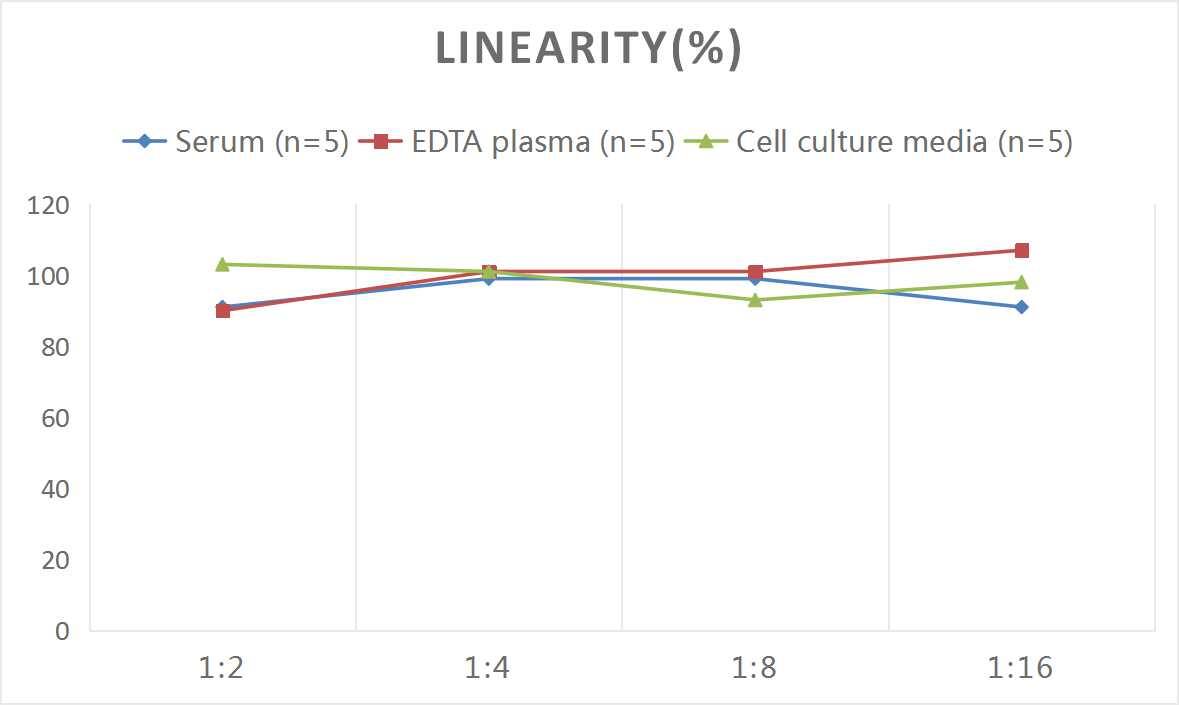 Mouse Serpin A7/TBG ELISA Kit (Chemiluminescence)